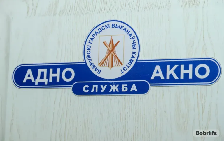 В Бобруйске по экстерриториальному принципу подали 378 заявлений