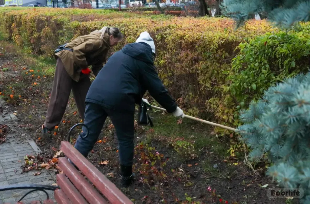 В Бобруйске на субботник вышли более 100 человек